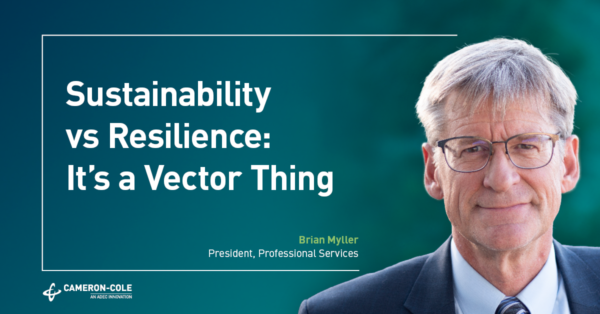 Sustainability vs Resilience: It’s a Vector Thing image